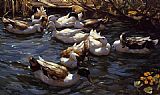 Ducks Canvas Paintings - Ducks in the Reeds under the Boughs